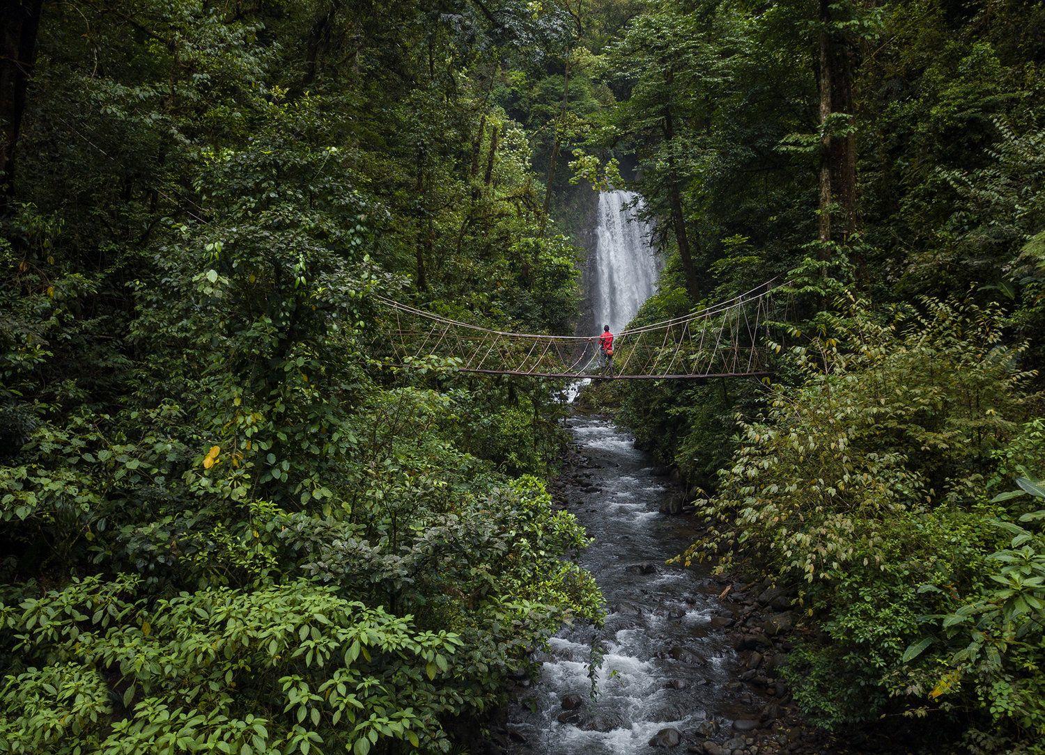 Suspension bridge facing a waterfall in the Costa Rican rainforest