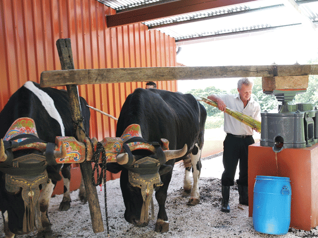 Trapiche Tour