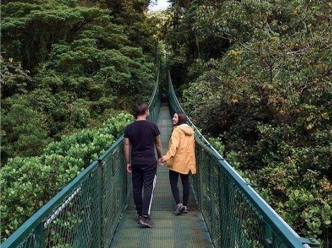 Selvatura Hanging Bridges