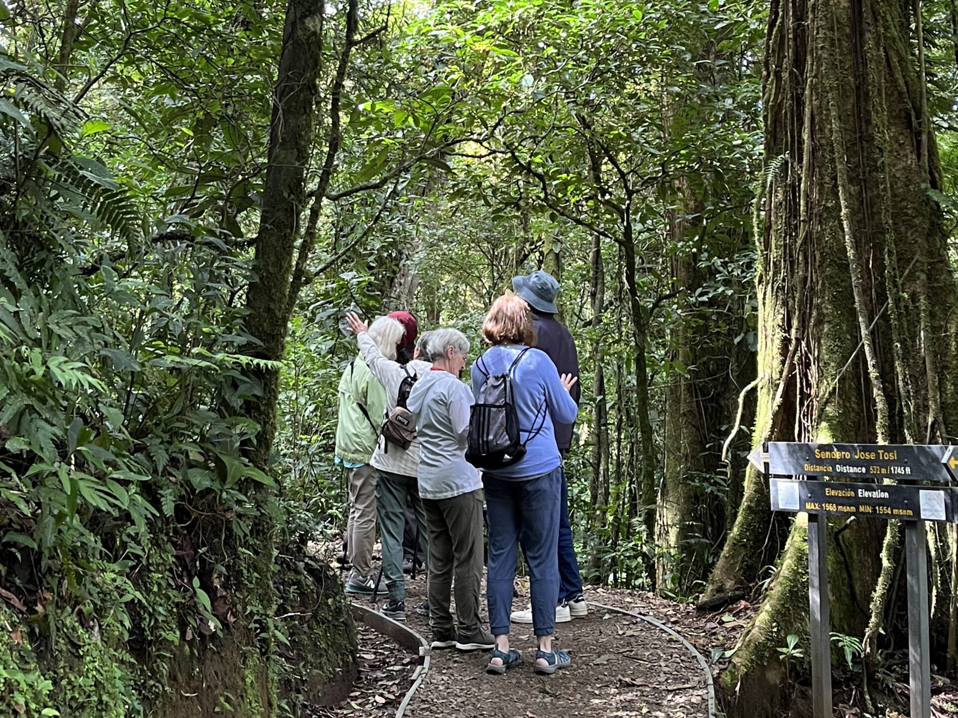 monteverde cloud forest tours