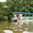 Caño Negro Boat Tour