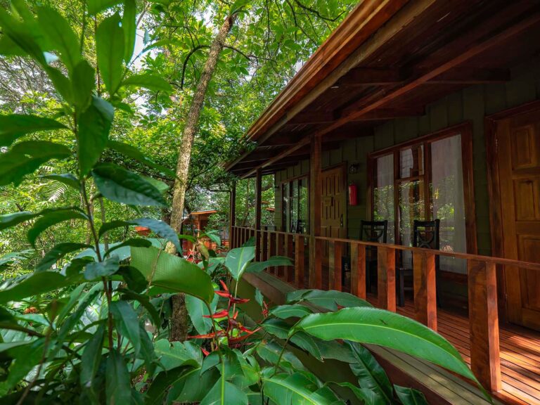 Jaguarundi Lodge Monteverde